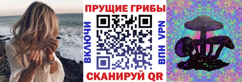 Галлюциногенные грибы GOLDEN TEACHER  Власиха 